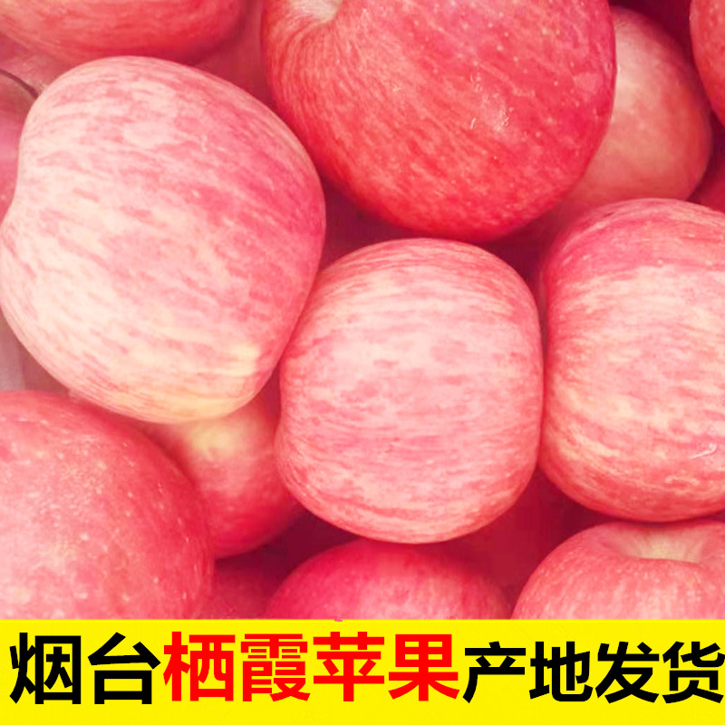 烟台红富士苹果孕妇水果新鲜山东栖霞十10当季斤整箱脆甜一级平果