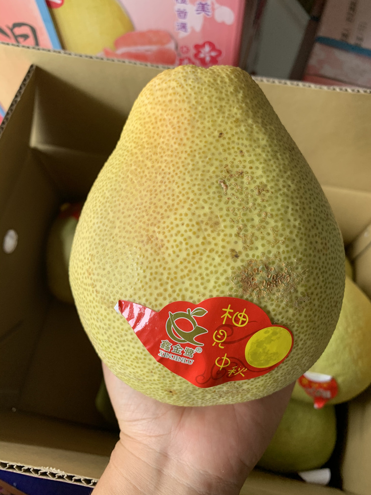 台湾麻豆红文旦 宝岛爆汁柚子 红宝石柚子 甜嫩多汁礼盒装包邮