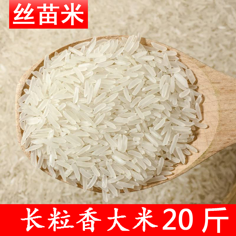 不好吃包退正宗南方大米长粒香煲仔饭丝苗米10kg20斤一年一季籼米